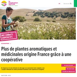 Plantes naturelles et coopératives