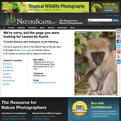 NatureScapes.Net