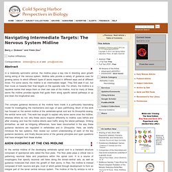Navigating Intermediate Targets: The Nervous System Midline
