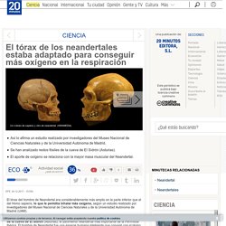 El tórax de los neandertales estaba adaptado para conseguir más oxígeno en la respiración