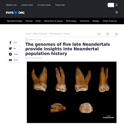 The genomes of five late Neandertals provide insights into Neandertal population history