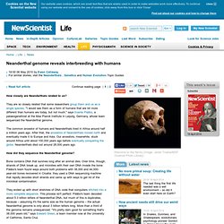 Neanderthal genome reveals interbreeding with humans - life - 06 May 2010