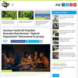 Ancient Teeth Of Possible Neanderthal-Human "Hybrid Population" Discovered In Jersey