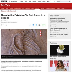 Neanderthal 'skeleton' is first found in a decade