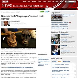 Neanderthals' large eyes 'caused their demise'