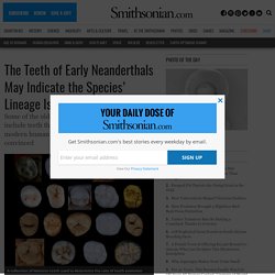 The Teeth of Early Neanderthals May Indicate the Species' Lineage Is Older Than Thought