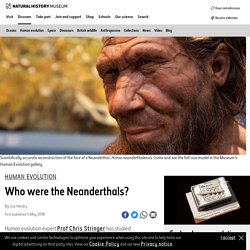 Who were the Neanderthals?