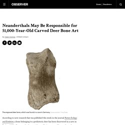 Neanderthals May Be Responsible for 51,000-Year-Old Deer Bone Art