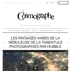 Les paysages variés de la nébuleuse de la Tarentule photographiés par Hubble