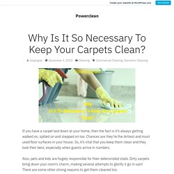 Why Is It So Necessary To Keep Your Carpets Clean? – Powerclean