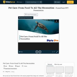 Pet Care: From Food To All The Necessities