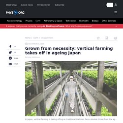 Grown from necessity: vertical farming takes off in ageing Japan