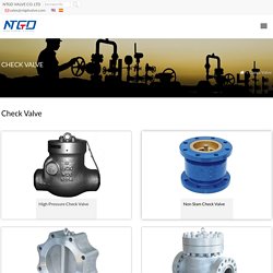 Top Check Valve Manufacturers