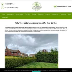 Why You Need a Landscaping Expert for Your Garden