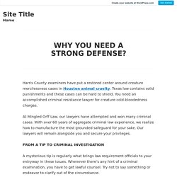 WHY YOU NEED A STRONG DEFENSE? – Site Title