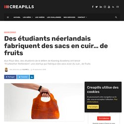 Des étudiants néerlandais fabriquent des sacs en cuir... de fruits - Creapills