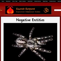 Negative Entities