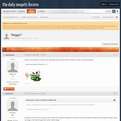 Neggs? - The Daily Neopets Forum