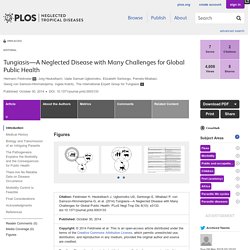 PLOS 30/10/14 Tungiasis—A Neglected Disease with Many Challenges for Global Public Health
