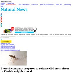 Biotech company prepares to release GM mosquitoes in Florida neighborhood
