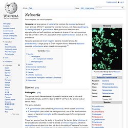 Neisseria - Wiki