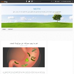 اهم ما يجب معرفته عن جرثومة المعده - neith