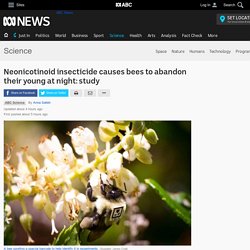 Neonicotinoid insecticide causes bees to abandon their young at night: study - Science News - ABC News