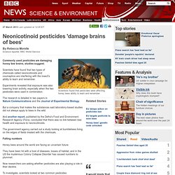 Neonicotinoid pesticides 'damage brains of bees'