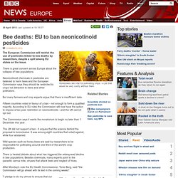 Bee deaths: EU may ban neonicotinoid pesticides