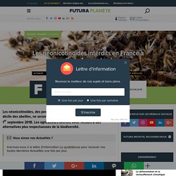 Les néonicotinoïdes interdits en France à partir du 1er septembre