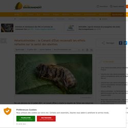 Néonicotinoïdes : le Conseil d'État reconnaît les effets néfastes sur la santé des abeilles