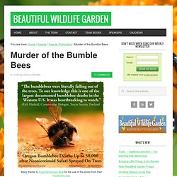 Neonicotinoids Causing Bumble Bee Deaths