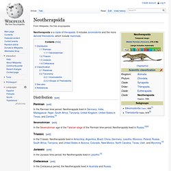 Neotherapsida