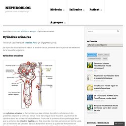 Cylindres urinaires