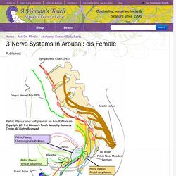 3 Nerve Systems in Arousal: cis-Female