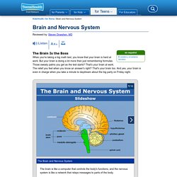 Brain and Nervous System (for Teens) - KidsHealth