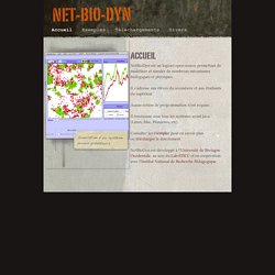 Net-Bio-Dyn