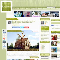 Pavilions Wonderryck Natura Docet « Inhabitat – Sustainable Design Innovation, Eco Architecture, Green Building