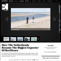 How The Netherlands Became The Biggest Exporter Of Resilience