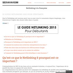 Le Guide Netlinking 2015 Pour Débutants