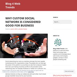 Why Custom Social Network Is Considered Good For Business
