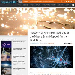 Network of 75 Million Neurons of the Mouse Brain Mapped for the First Time