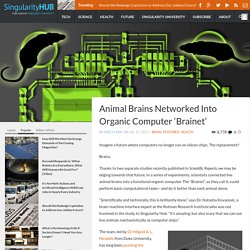 Animal Brains Networked Into Organic Computer ‘Brainet’ - Singularity HUB