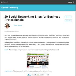 20 Social Networking Sites for Business Professionals