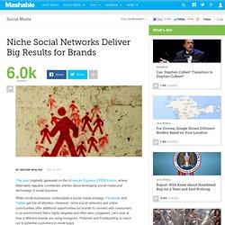 Niche Social Networks Deliver Big Results