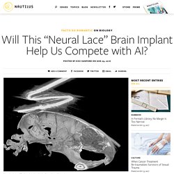 Will This “Neural Lace” Brain Implant Help Us Compete with AI?