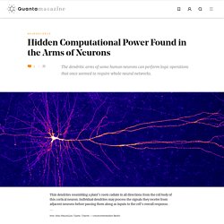 Neural Dendrites Reveal Their Computational Power