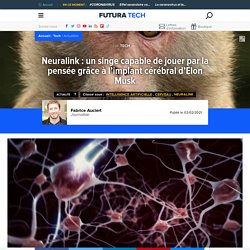 Neuralink : un singe capable de jouer par la pensée grâce à l’implant cérébral d’Elon Musk