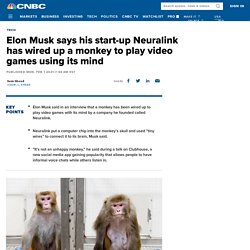 Elon Musk: Neuralink wires up monkey to play video games using mind