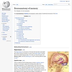 Neuroanatomy of memory